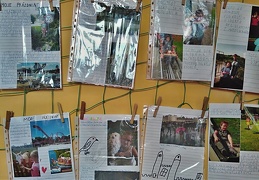 Rok 2019 - display this album Rok 2019